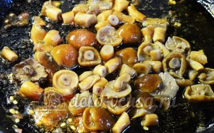 Салат з опеньками і помідорами рецепт з фото - покрокове приготування теплого салату з опеньками (салат) Салат з опеньками і помідорами рецепт з фото - покрокове приготування теплого салату з опеньками