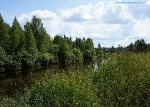 У село з дитиною шукаємо малюкові цікаві заняття! (Що робити дітям в селі) У село з дитиною шукаємо малюкові цікаві заняття!
