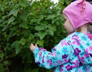 У село з дитиною шукаємо малюкові цікаві заняття! (Малюкові) У село з дитиною шукаємо малюкові цікаві заняття!