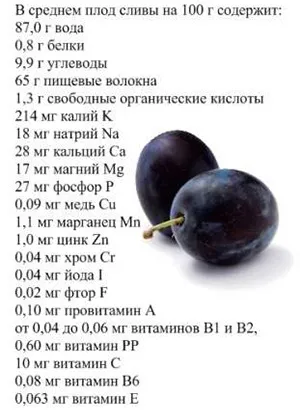 У чому користь сливи для організму - склад і лікувальні властивості (організму) У чому користь сливи для організму - склад і лікувальні властивості