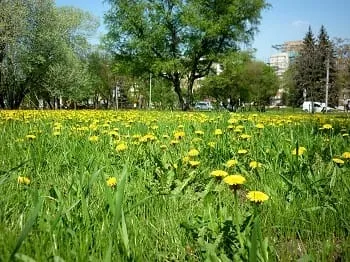 весняні прикмети
