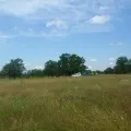 саморобні шашки