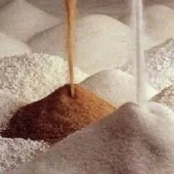 Цукор з цукрових буряків опис процесу - agroxxi (цукор надходить) Цукор з цукрових буряків опис процесу - agroxxi
