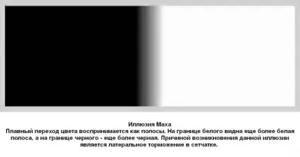 Найцікавіші оптичні ілюзії ламають мозок (краще) - джерело гарного настрою (просто) Найцікавіші оптичні ілюзії ламають мозок (краще) - джерело гарного настрою