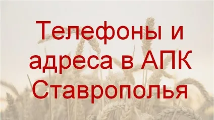 Саранча і методи боротьби з нею в сільському господарстві (сарана) Саранча і методи боротьби з нею в сільському господарстві