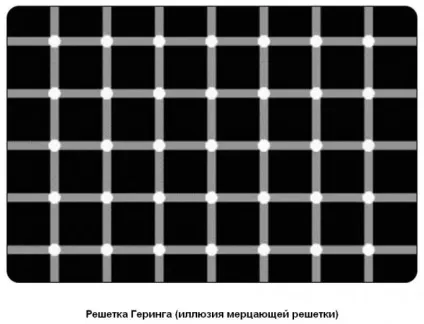 Найцікавіші оптичні ілюзії ламають мозок (краще) - джерело гарного настрою (ілюзію) Найцікавіші оптичні ілюзії ламають мозок (краще) - джерело гарного настрою