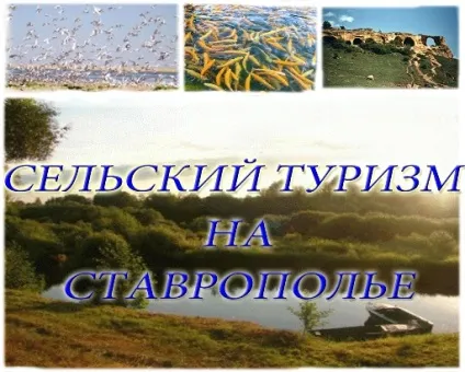 Саранча і методи боротьби з нею в сільському господарстві (сарана) Саранча і методи боротьби з нею в сільському господарстві