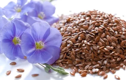 Насіння льону для обличчя - рецепти ефективних масок для шкіри (насіння льон шкіра обличчя) Насіння льону для обличчя - рецепти ефективних масок для шкіри
