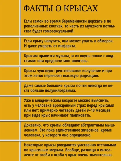 сіре істота