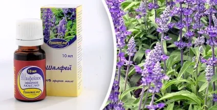 Шавлія для волосся масло, ополіскування відваром і відгуки (волосся) Шавлія для волосся масло, ополіскування відваром і відгуки