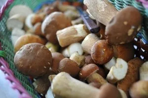 З якого віку можна давати дитині гриби (давати) З якого віку можна давати дитині гриби