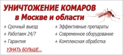Висип у дитини схожа на укуси комарів, висип у дитини (висип) Висип у дитини схожа на укуси комарів, висип у дитини