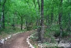 Скельская печера, печери криму, пам'ятки криму (Скельская) Скельская печера, печери криму, пам'ятки криму