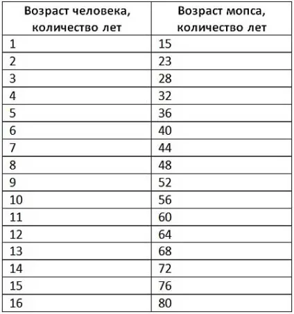 Скільки живуть мопси, тривалість життя мопсів (фото) (живуть) Скільки живуть мопси, тривалість життя мопсів (фото)