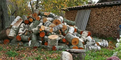 Сонник двір до чого сниться двір уві сні (двір) Сонник двір до чого сниться двір уві сні