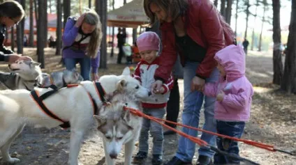 Сонник приснилася собака на повідку уві сні до чого сниться собака на повідку
