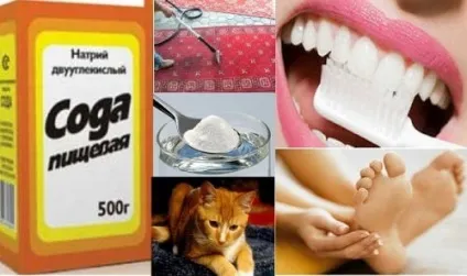 Сода харчова користь і шкода для людини, відгуки лікарів (всередину) Сода харчова користь і шкода для людини, відгуки лікарів