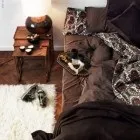 Спальні ІКЕА в інтер'єрі кращі ідеї дизайну кімнати для сну і відпочинку (50 фото), доставка товарів (інтер'єрі) Спальні ІКЕА в інтер'єрі кращі ідеї дизайну кімнати для сну і відпочинку (50 фото), доставка товарів