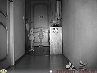 Порівняти фотопастки