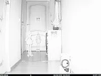 Порівняти фотопастки