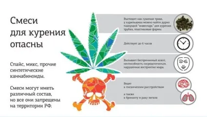 Спайсовая залежність