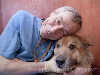 Стаціонар для тварин (собак, кішок) - «ЦЕВМ Бембі» (собак) Стаціонар для тварин (собак, кішок) - «ЦЕВМ Бембі»