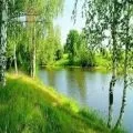 Вірші про природу українських поетів (природі) Вірші про природу українських поетів