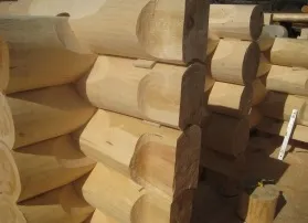 Будівництво будинків з круглого колоди, будинок з кругляка під ключ проекти, фото, ціни, будівництво (ціни) Будівництво будинків з круглого колоди, будинок з кругляка під ключ проекти, фото, ціни, будівництво