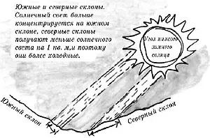 Будівництво будинку з піддонів (фото) (будівництво) Будівництво будинку з піддонів (фото)