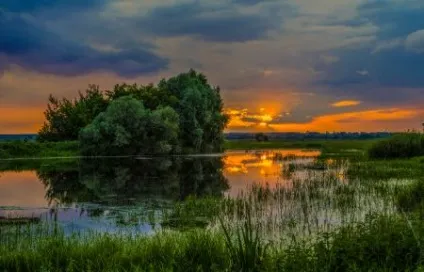 Вірші про природу українських поетів (природі українських поетів) Вірші про природу українських поетів