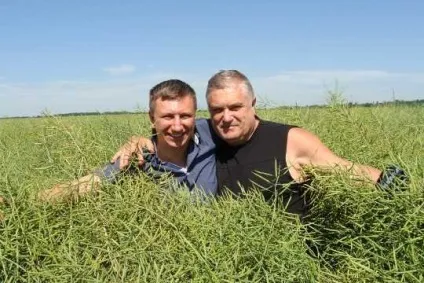 Стратегія підживлення кукурудзи (стратегія) Стратегія підживлення кукурудзи