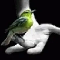 Сценарій дня народження дитини 1 рік (для себе, кому треба беріть) що приготувати на день народження