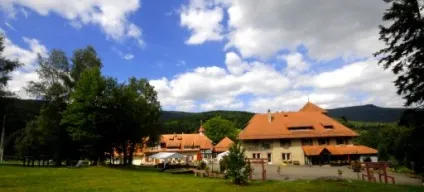 Вільний університет самадева, дорогу здолає той, хто йде (самим гармонійним чином) Вільний університет самадева, дорогу здолає той, хто йде