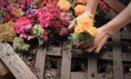 Своїми руками, ідеї створення зелених живих, котеджі в киеве - Велика Димерка (ідеї для саду) Своїми руками, ідеї створення зелених живих, котеджі в киеве - Велика Димерка