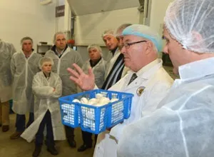 Вирощування грибів шампіньйонів в домашніх умовах бізнес планування (домашніх) Вирощування грибів шампіньйонів в домашніх умовах бізнес планування