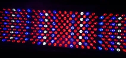 Вирощування конопель в гроубокса - led світлодіоди (насіння канабісу) Вирощування конопель в гроубокса - led світлодіоди