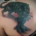 Тату Тату