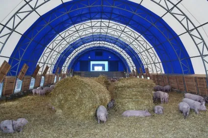 Тент-пошиття - швейно-тенту виробництво, підприємство з випуску виробів з технічних тканин (веранди літнього кафе) Тент-пошиття - швейно-тенту виробництво, підприємство з випуску виробів з технічних тканин