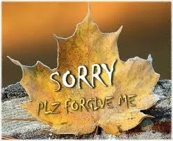 Тонкощі англійської мови - sorry або excuse, захоплюючий англійський (excuse) Тонкощі англійської мови - sorry або excuse, захоплюючий англійський