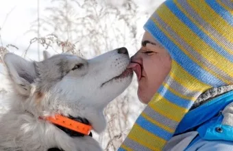 Токсокароз - лікування народними засобами, як позбутися, дієта (народними) Токсокароз - лікування народними засобами, як позбутися, дієта