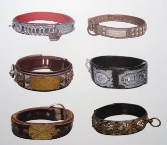 The dog collar museum