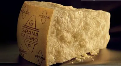 The best guide, італійський сир grana padano (trentin) (padano) The best guide, італійський сир grana padano (trentin)