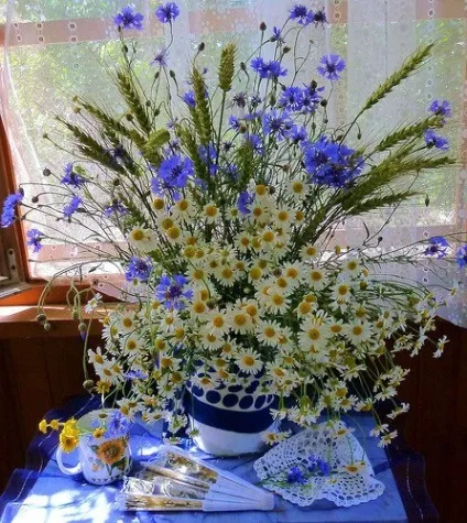 Точка або три крапки ~ вірші (лірика філософська) ~ (конкурси) Точка або три крапки ~ вірші (лірика філософська) ~