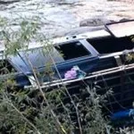 Топ-12 модних і дорогих порід собак як виглядають і скільки коштують в Лубнах (модних) Топ-12 модних і дорогих порід собак як виглядають і скільки коштують в Лубнах