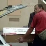 Топ-12 модних і дорогих порід собак як виглядають і скільки коштують в Лубнах (порід) Топ-12 модних і дорогих порід собак як виглядають і скільки коштують в Лубнах