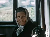Тростинка на вітрі (1980) - інформація про фільм - радянські фільми (тростинка на вітрі (1980) інформація про фільм радянський фільм) Тростинка на вітрі (1980) - інформація про фільм - радянські фільми