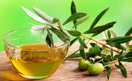 Топ-10 жирних продуктів, від яких організму суцільна користь