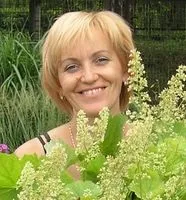Тюльпани всі тонкощі вирощування (починається ранньою весною) Тюльпани всі тонкощі вирощування