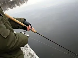 Твічінговая проводка для початківців (початківців) Твічінговая проводка для початківців