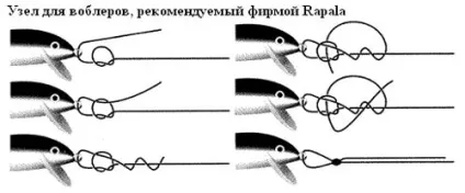 Вузли флюрокарбон, як в'язати флюрокарбон як зв'язати волосінь і шнур плетінку і флюрокарбон вузли (вузли) Вузли флюрокарбон, як в'язати флюрокарбон як зв'язати волосінь і шнур плетінку і флюрокарбон вузли